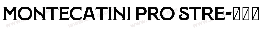 Montecatini Pro Stre字体转换